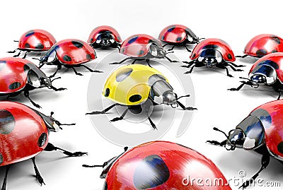 Yellow ladybug among group of red ladybugs Stock Photo