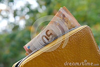 yellow leather wallet with EU Currency banknotes, cash money from European Union in female hand, financial goals and prosperity Stock Photo