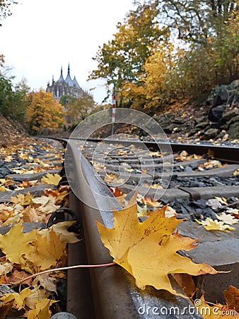 Yellow leaves autumn church Stock Photo