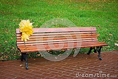 Yellow leaves on a red bench Stock Photo