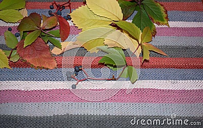 Yellow leaves on a striped multicolored background Stock Photo