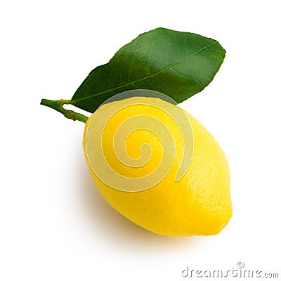 Yellow lemon Stock Photo