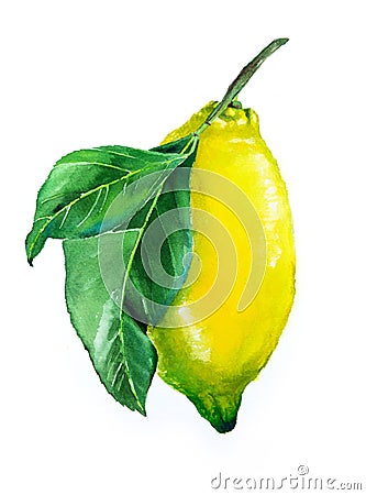 Yellow lemon with leaves. Fruit illustration. Bright print for fabric or wallpaper. Vibrant juicy ripe citrus Cartoon Illustration