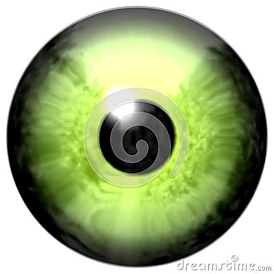 Yellow and light green eyeball with isolated Stock Photo