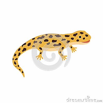 Yellow lizard, spotted Salamander isolated on white background. Vector Illustration