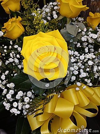 Yellow lovely rose buquet Stock Photo