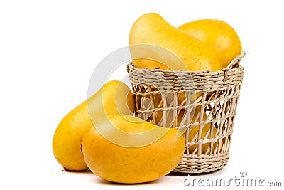 Yellow mango in basket Stock Photo