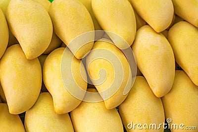 Yellow Mango on market Stock Photo