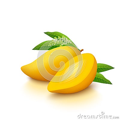 Yellow mango on white background Vector Illustration