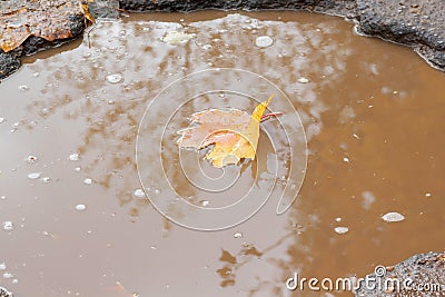 Yellow maple leaf is lying in a pothole filled with water.The bad asphalted road. Dangerous roadbed. Stock Photo