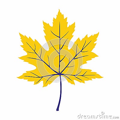 Yellow maple leaf. Yellow-purple leaf Vector Illustration