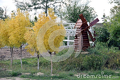 Yellow maples in autumn and small wooden mill Stock Photo