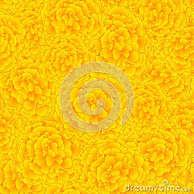 Yellow Marigold Seamless Background. Vector Illustration Vector Illustration