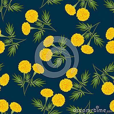 Yellow Marigold Seamless on Dark Blue Background. Vector Illustration. Vector Illustration