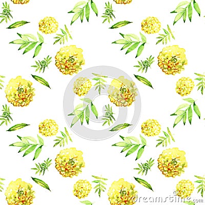 Yellow Marigold Seamless. Watercolor Illustration. Flower pattern. Stock Photo