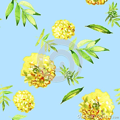 Yellow Marigold Seamless. Watercolor Illustration. Flower pattern. Stock Photo