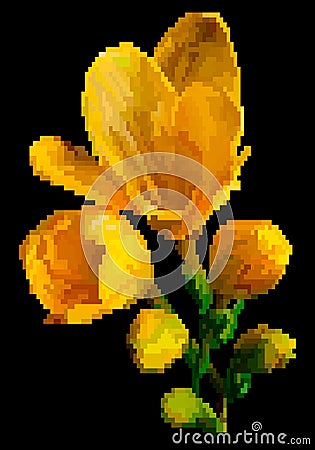 Yellow meadow flowers pixel art Vector Illustration