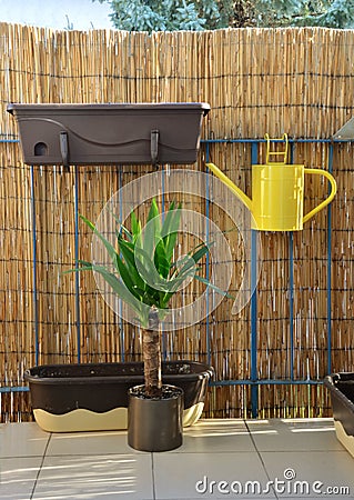 Yellow metal watering can hang on balcony railing, bamboo fence in background Stock Photo