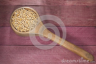 Mustard seed in wooden spoon Stock Photo