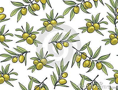 Yellow olives from branches on a white background. Vector Illustration