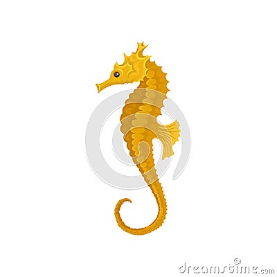 Yellow long-snouted seahorse. Marine animal. Sea and ocean life theme. Flat vector element for mobile game Vector Illustration