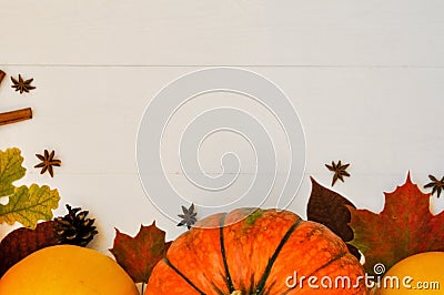 Yellow and orange pumpkins and corn with autumn decor on white wooden background for harvest fall and thanksgiving theme. cornucop Stock Photo