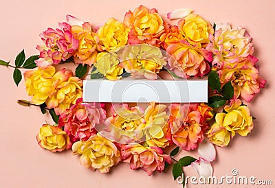 Yellow and orange roses arrangement on pastel background Stock Photo