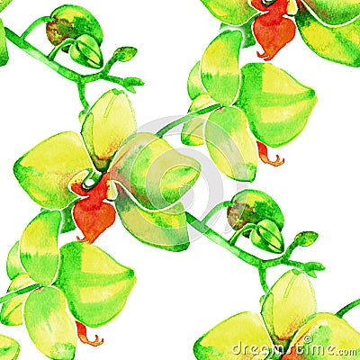 Yellow orchids. Watercolor seamless pattern with tropical flowers. Stock Photo