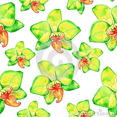 Yellow orchids. Watercolor seamless pattern with tropical flowers. Stock Photo