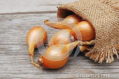 Yellow oval onion bulbs in burlap sackon wooden backgrounds Stock Photo