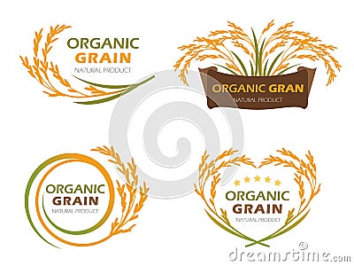 Yellow paddy rice organic grain products and healthy food banner sign vector set design Vector Illustration