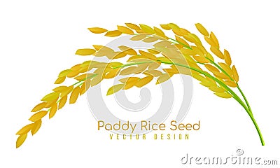 Yellow paddy rice seed vector design Vector Illustration