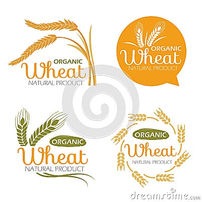 Yellow paddy Wheat rice organic grain products and healthy food banner sign vector set design Vector Illustration