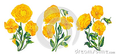 Yellow vector flowers botanical compositionsisolated clip art on white background. Vector Illustration