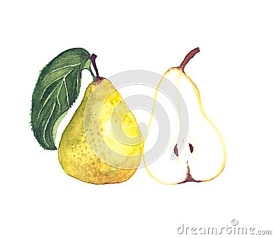 Yellow pear hand drawn Stock Photo
