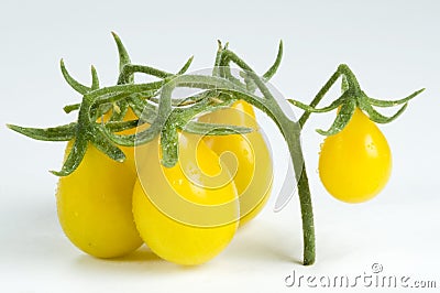 Yellow pear tomatoes Stock Photo