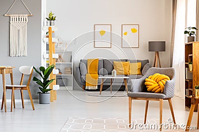 Yellow pillow on grey armchair in spacious flat interior with po Stock Photo
