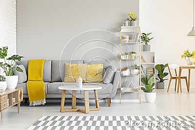 Yellow pillows and blanket on grey sofa in modern living room in Stock Photo