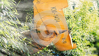 Yellow plane crashes into a bush with sunrays Stock Photo