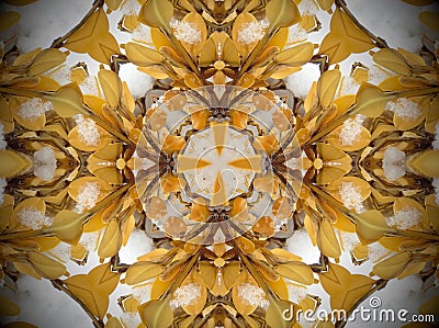 Yellow plant in snow Mandala Stock Photo