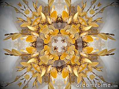 Yellow plant in snow Mandala Stock Photo