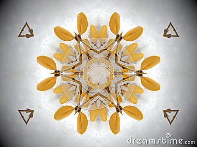 Yellow plant in snow Mandala Stock Photo