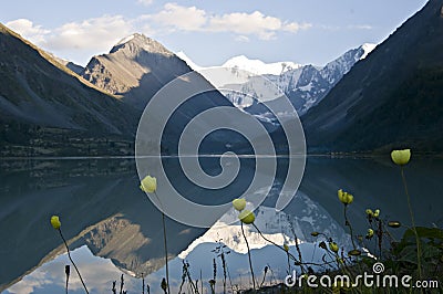 Yellow poppy at lake Ak-kem Stock Photo