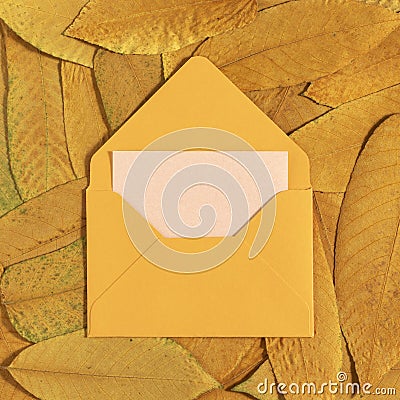 Yellow postal envelope on autumn yellow dry leaves. Stock Photo