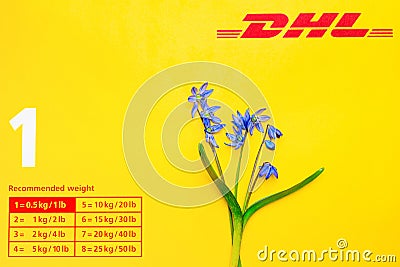 Yellow postal envelope with dhl logo and blue spring flowers. Fresh Scilla siberica flowers as a symbol of fast delivery. DHL is Editorial Stock Photo