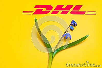 Yellow postal envelope with dhl logo and blue spring flowers. Fresh Scilla siberica flowers as a symbol of fast delivery. DHL is Editorial Stock Photo