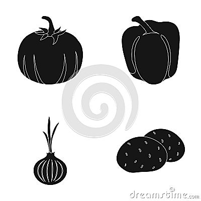 Yellow pumpkin, sweet red pepper, onion bitter, potatoes. Vegetables set collection icons in black style vector symbol Vector Illustration