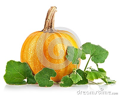 Yellow pumpkin vegetable with green leaves Stock Photo