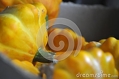 Yellow pumpkins in the box Stock Photo