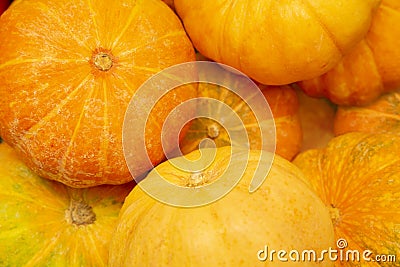 Yellow Pumpkins in vegetable shop Stock Photo